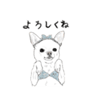 うちのわんこ。2019（個別スタンプ：5）