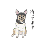 うちのわんこ。2019（個別スタンプ：6）