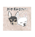 うちのわんこ。2019（個別スタンプ：8）