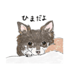うちのわんこ。2019（個別スタンプ：16）