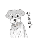 うちのわんこ。2019（個別スタンプ：17）