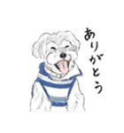 うちのわんこ。2019（個別スタンプ：18）