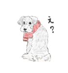 うちのわんこ。2019（個別スタンプ：20）