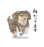 うちのわんこ。2019（個別スタンプ：24）