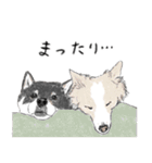 うちのわんこ。2019（個別スタンプ：32）