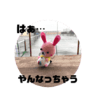 ワン助スタンプ[2]（個別スタンプ：2）