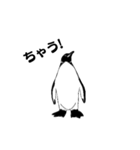 ペンギン ピー（個別スタンプ：1）