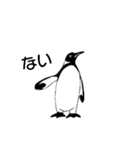 ペンギン ピー（個別スタンプ：2）