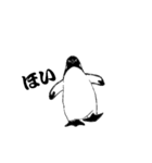 ペンギン ピー（個別スタンプ：3）