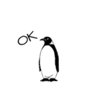 ペンギン ピー（個別スタンプ：4）