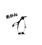 ペンギン ピー（個別スタンプ：11）