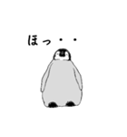 ペンギン ピー（個別スタンプ：23）