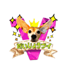 ビーグル犬の気持ち3（個別スタンプ：3）