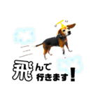 ビーグル犬の気持ち3（個別スタンプ：4）