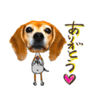 ビーグル犬の気持ち3（個別スタンプ：21）
