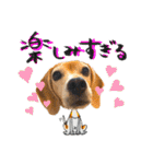 ビーグル犬の気持ち3（個別スタンプ：22）