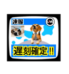 ビーグル犬の気持ち3（個別スタンプ：36）