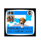 ビーグル犬の気持ち3（個別スタンプ：38）
