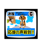 ビーグル犬の気持ち3（個別スタンプ：40）