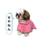 我が家のもじゃ 5（個別スタンプ：5）
