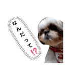 我が家のもじゃ 5（個別スタンプ：8）