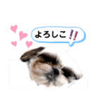 我が家のもじゃ 5（個別スタンプ：12）