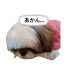 我が家のもじゃ 5（個別スタンプ：16）