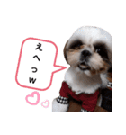 我が家のもじゃ 5（個別スタンプ：19）