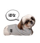 我が家のもじゃ 5（個別スタンプ：22）