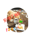 はっとり家のわんこ▼・ω・▼（個別スタンプ：22）