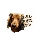 誇り高き犬マルス 子犬編（個別スタンプ：4）