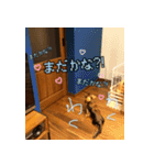 誇り高き犬マルス 子犬編（個別スタンプ：24）