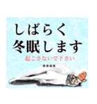 ウンコ般若スタンプ4 冬の下ネタ カスタム（個別スタンプ：5）