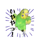 セキセイインコのにかちゃん。（個別スタンプ：3）