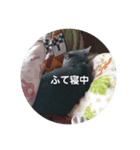 マリンちゃんのスタンプ2（個別スタンプ：6）