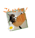 らぶりー すずにゃん 改（個別スタンプ：2）