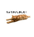 零音くんのスタンプ（個別スタンプ：1）