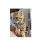 零音くんのスタンプ（個別スタンプ：3）