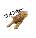 零音くんのスタンプ（個別スタンプ：4）
