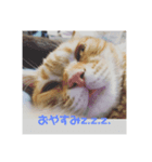 零音くんのスタンプ（個別スタンプ：5）