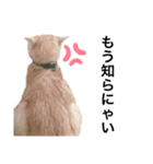 せるとてるだよ（個別スタンプ：8）