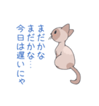 猫と暮らす。（個別スタンプ：1）