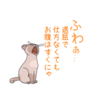 猫と暮らす。（個別スタンプ：2）