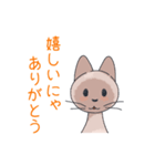 猫と暮らす。（個別スタンプ：3）