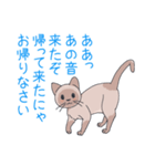 猫と暮らす。（個別スタンプ：4）