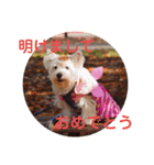 冬のあいさつ（個別スタンプ：1）