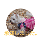 冬のあいさつ（個別スタンプ：8）