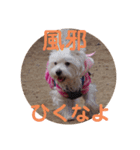 冬のあいさつ（個別スタンプ：14）