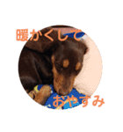 冬のあいさつ（個別スタンプ：15）