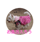 冬のあいさつ（個別スタンプ：16）